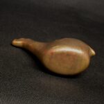 Conopa inca - Image 10