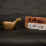 Conopa inca - Image 12