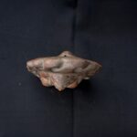 silbador- chimu - Image 6