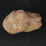 cabesa de serpiente chabin - Image 7