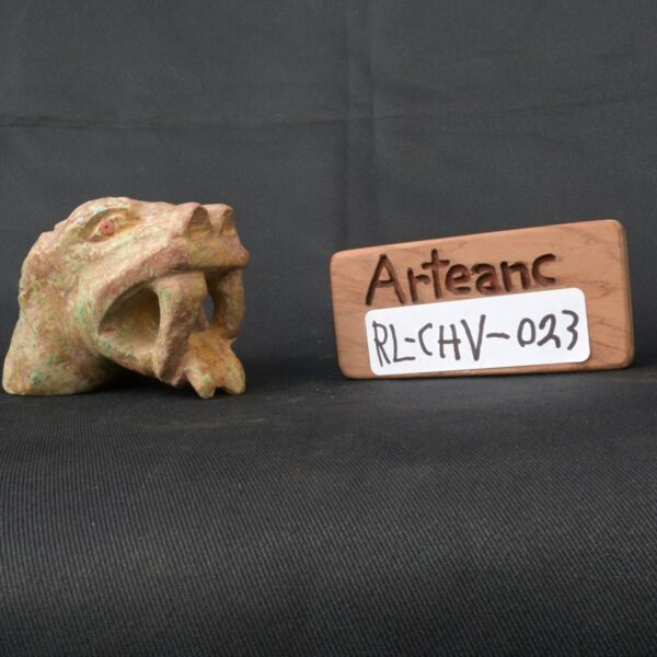 Pre-Columbian Chavín Turquoise Stone Serpent Head with Spondylus - Image 9