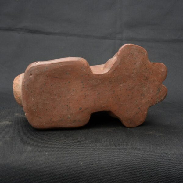 Pre Columbian Chavin Ceramic Erotic Bottle Ceremonial Artifact Peru - Image 5