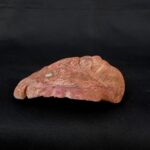 máscara de espondilus o concha de mar moche - Image 5