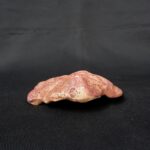 máscara de colores concha de mar  moche - Image 2