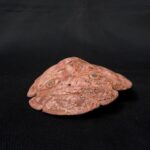 máscara de colores concha de mar  moche - Image 4