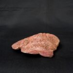 máscara de colores concha de mar  moche - Image 5