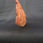 máscara de colores concha de mar  moche - Image 6