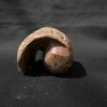 pututu de piedra chavin - Image 4