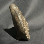 Pre Columbian Inca Ceramic Ocarina Ancient Musical Artifact - Imagen 6