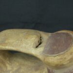 Pre Columbian Moche Ceramic Whistle Ritual Artifact Collectible - Imagen 16