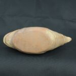 Pre Columbian Moche Ceramic Bottle Ritual Artifact Peru Collectible - Imagen 10
