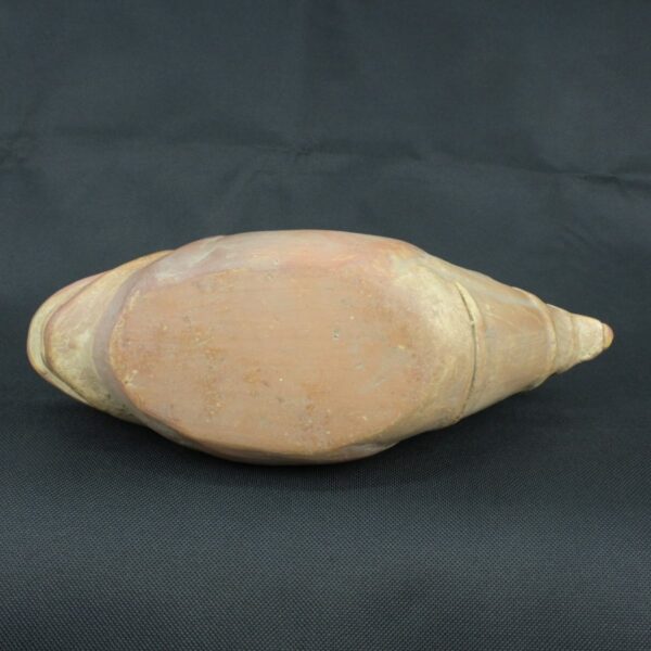 Pre Columbian Moche Ceramic Bottle Ritual Artifact Peru Collectible - Imagen 10
