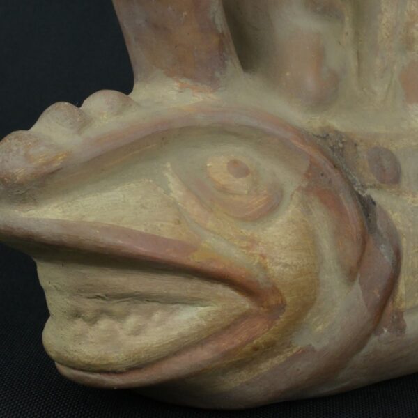 Pre Columbian Moche Ceramic Bottle Ritual Artifact Peru Collectible - Imagen 12