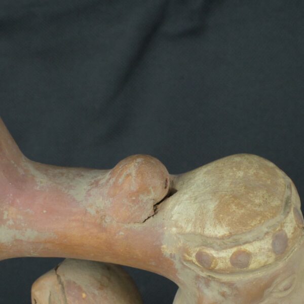 Pre Columbian Moche Ceramic Bottle Ritual Artifact Peru Collectible - Imagen 16