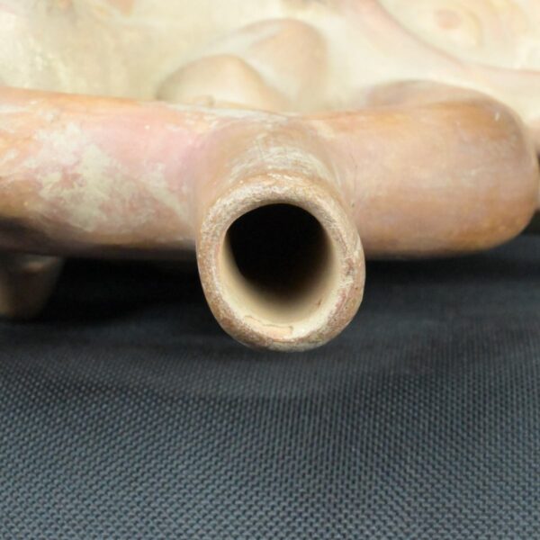 Pre Columbian Moche Ceramic Bottle Ritual Artifact Peru Collectible - Imagen 18