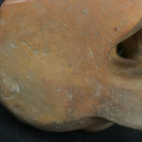 Pre Columbian Moche Ceramic Soldier Vessel Ritual Artifact Collectible - Imagen 11