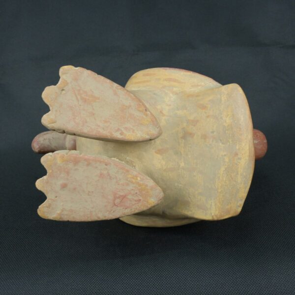 Pre Columbian Moche Ceramic Bird Vessel Ceremonial Artifact Peru - Imagen 10