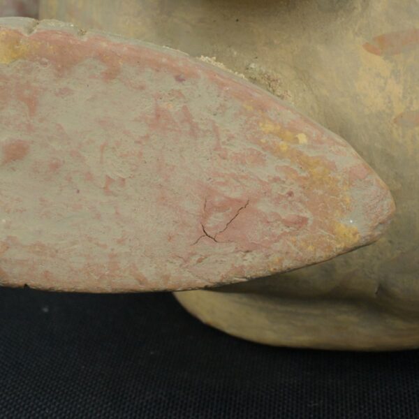 Pre Columbian Moche Ceramic Bird Vessel Ceremonial Artifact Peru - Imagen 11