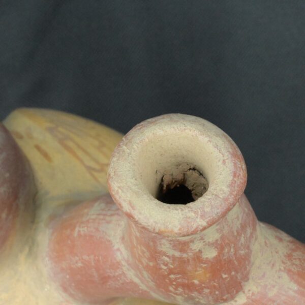 Pre Columbian Moche Ceramic Bird Vessel Ceremonial Artifact Peru - Imagen 16