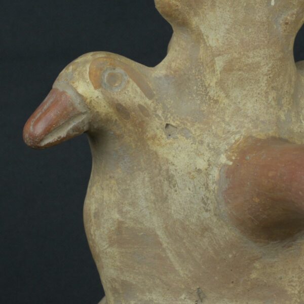 Pre Columbian Moche Ceramic Bottle Ritual Artifact Peru Collectible - Imagen 14