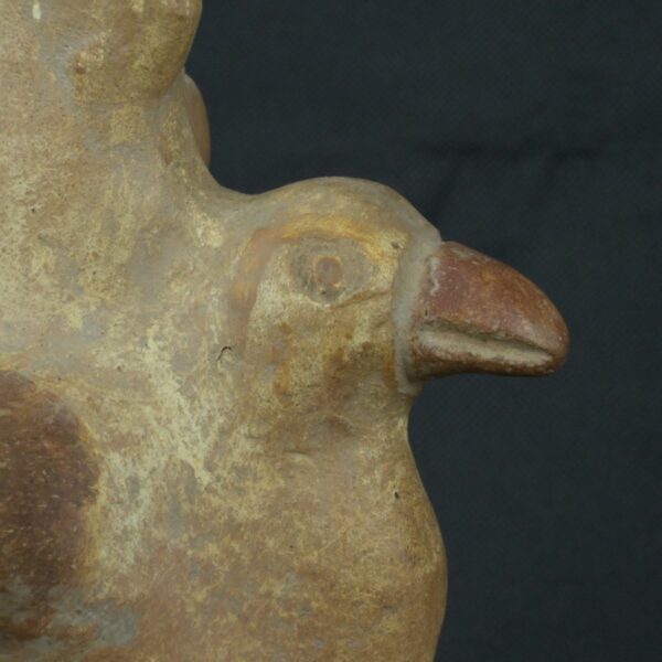 Pre Columbian Moche Ceramic Bottle Ritual Artifact Peru Collectible - Imagen 16