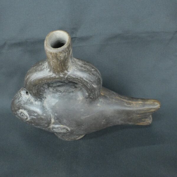 Pre Columbian Moche Ceramic Fish Vessel Ritual Artifact Peru - Imagen 9