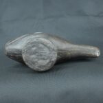 Pre Columbian Moche Ceramic Fish Vessel Ritual Artifact Peru - Imagen 10