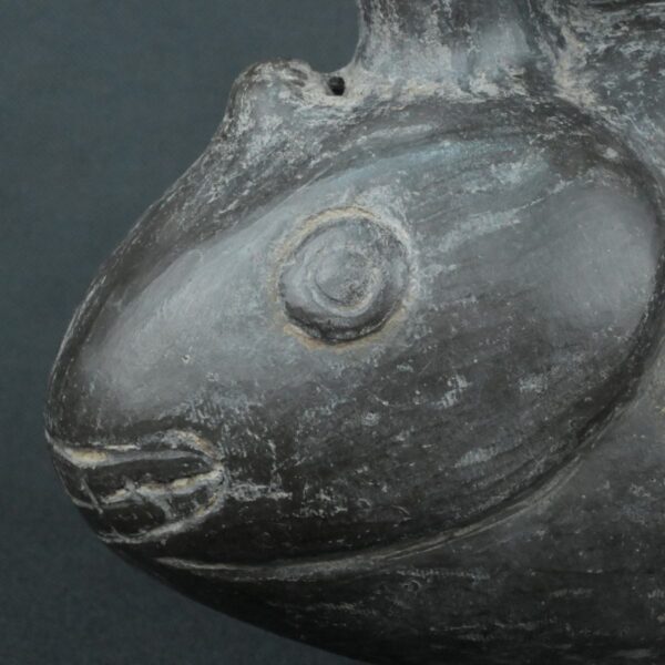 Pre Columbian Moche Ceramic Fish Vessel Ritual Artifact Peru - Imagen 13
