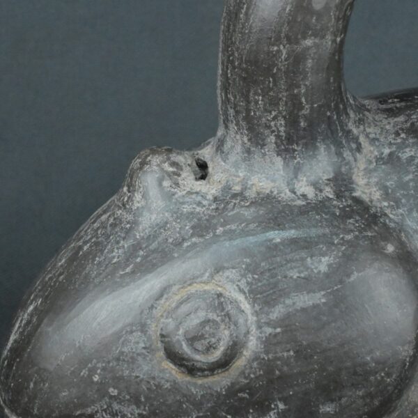 Pre Columbian Moche Ceramic Fish Vessel Ritual Artifact Peru - Imagen 14