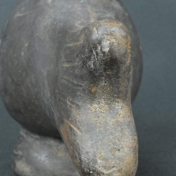 Pre Columbian Moche Ceramic Fish Vessel Ritual Artifact Peru - Imagen 15