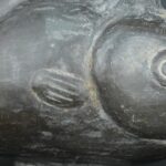 Pre Columbian Moche Ceramic Fish Vessel Ritual Artifact Peru - Imagen 17