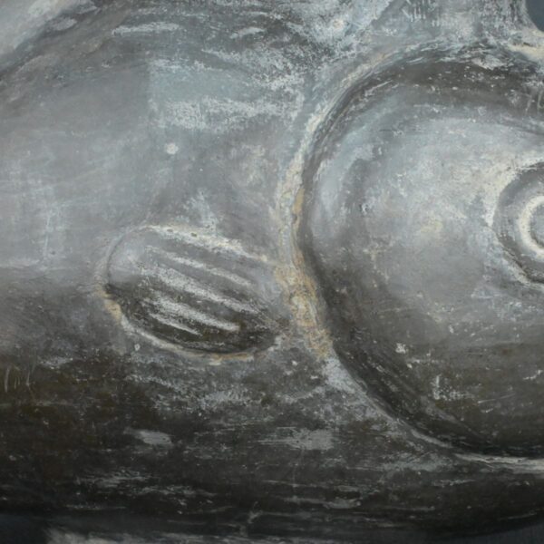 Pre Columbian Moche Ceramic Fish Vessel Ritual Artifact Peru - Imagen 17