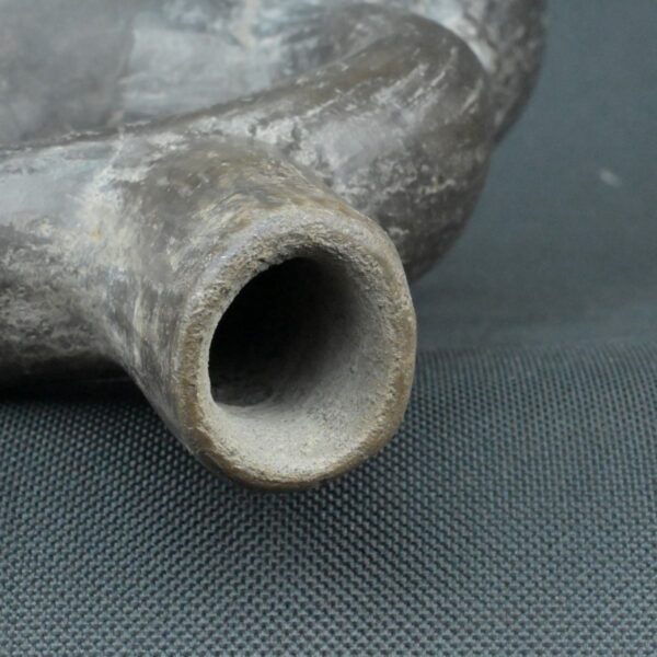 Pre Columbian Moche Ceramic Fish Vessel Ritual Artifact Peru - Imagen 19