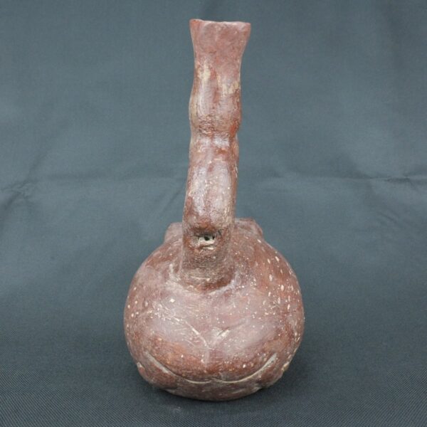 Pre Columbian Moche Ceramic Bottle Frog Ritual Artifact Peru - Imagen 3