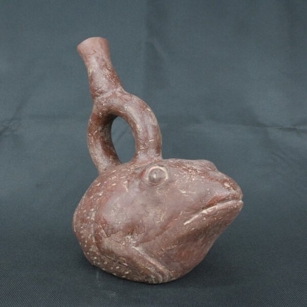 Pre Columbian Moche Ceramic Bottle Frog Ritual Artifact Peru - Imagen 6