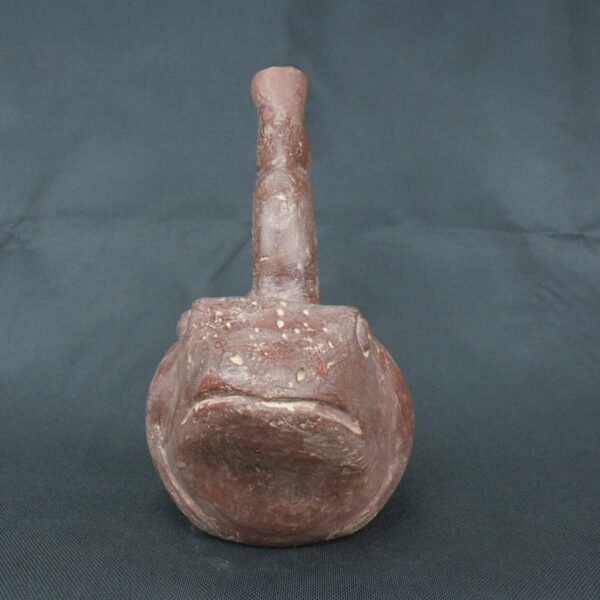Pre Columbian Moche Ceramic Bottle Frog Ritual Artifact Peru - Imagen 7