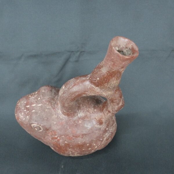 Pre Columbian Moche Ceramic Bottle Frog Ritual Artifact Peru - Imagen 9