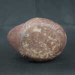 Pre Columbian Moche Ceramic Bottle Frog Ritual Artifact Peru - Imagen 10