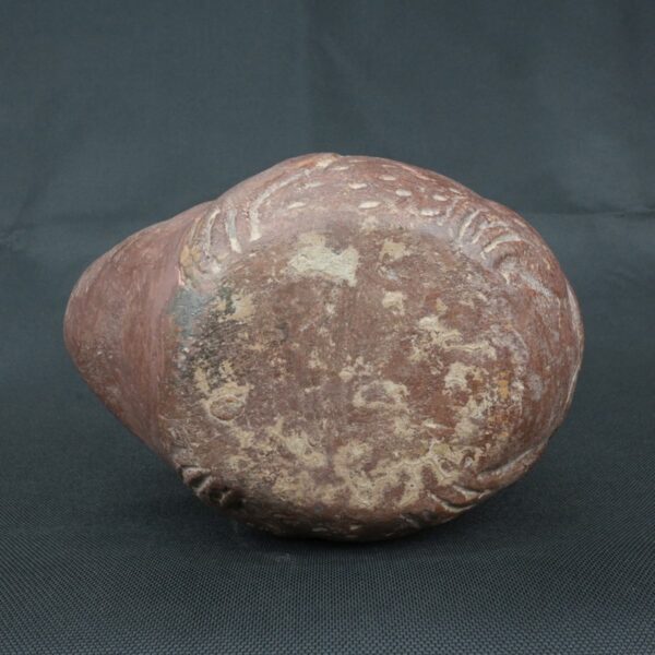 Pre Columbian Moche Ceramic Bottle Frog Ritual Artifact Peru - Imagen 10