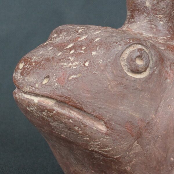 Pre Columbian Moche Ceramic Bottle Frog Ritual Artifact Peru - Imagen 12