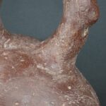Pre Columbian Moche Ceramic Bottle Frog Ritual Artifact Peru - Imagen 14
