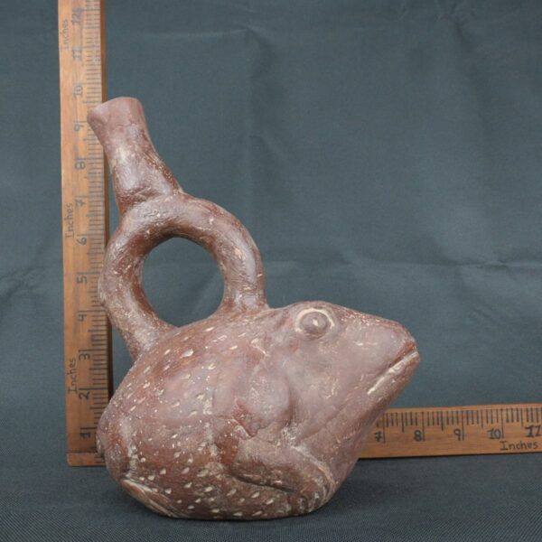 Pre Columbian Moche Ceramic Bottle Frog Ritual Artifact Peru - Imagen 17