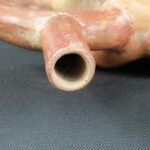 Pre Columbian Moche Ceramic Erotic Bottle Ritual Artifact Peru Collectible - Imagen 17