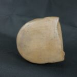 Pre Columbian Moche Ceramic Vessel Ancient Ritual Artifact Peru - Imagen 10