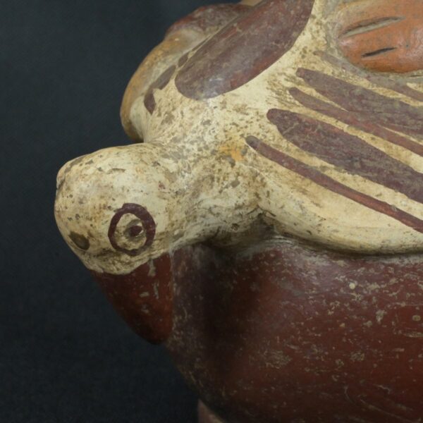 Pre Columbian Moche Ceramic Vessel Ritual Artifact Peru Collectible - Imagen 12