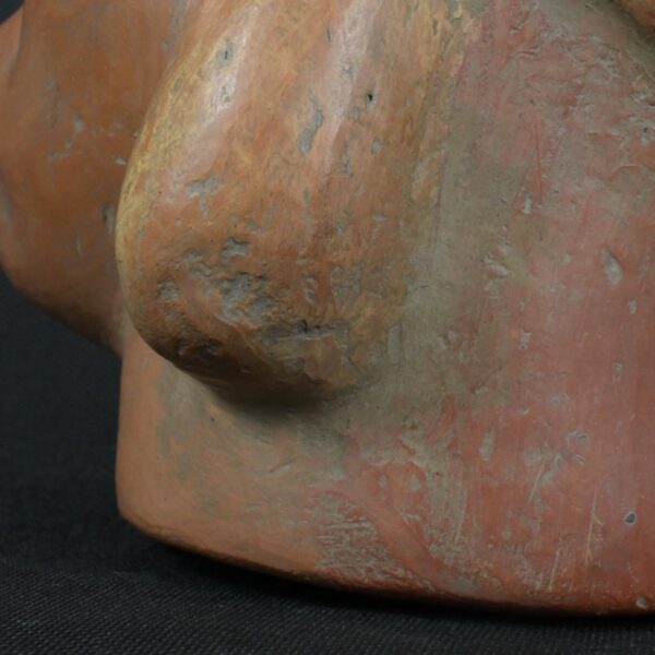 Pre Columbian Moche Ceramic Head Bottle Ritual Artifact Peru Collectible - Imagen 13