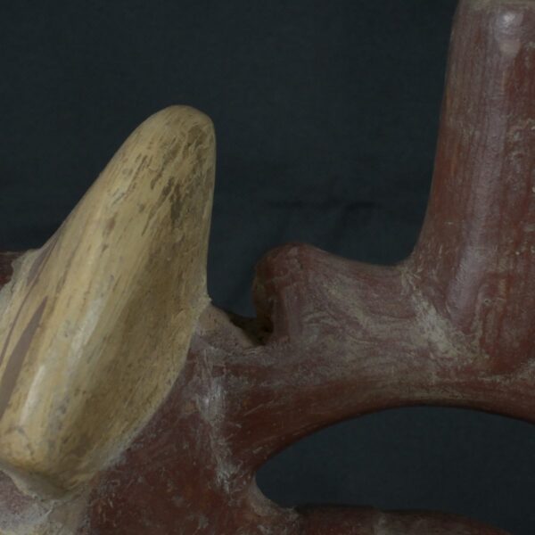 Pre Columbian Moche Ceramic Bottle Ritual Artifact Peru Collectible - Imagen 14