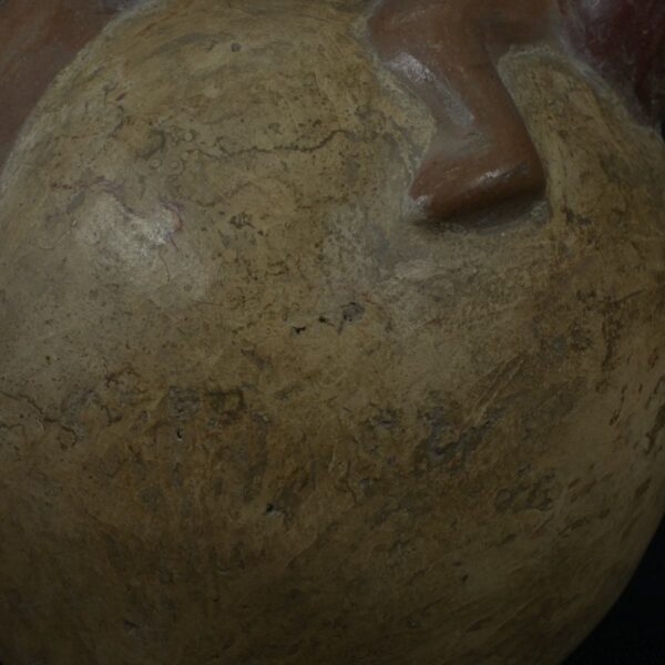 Pre Columbian Moche Ceramic Bottle Ritual Artifact Peru Collectible - Imagen 16