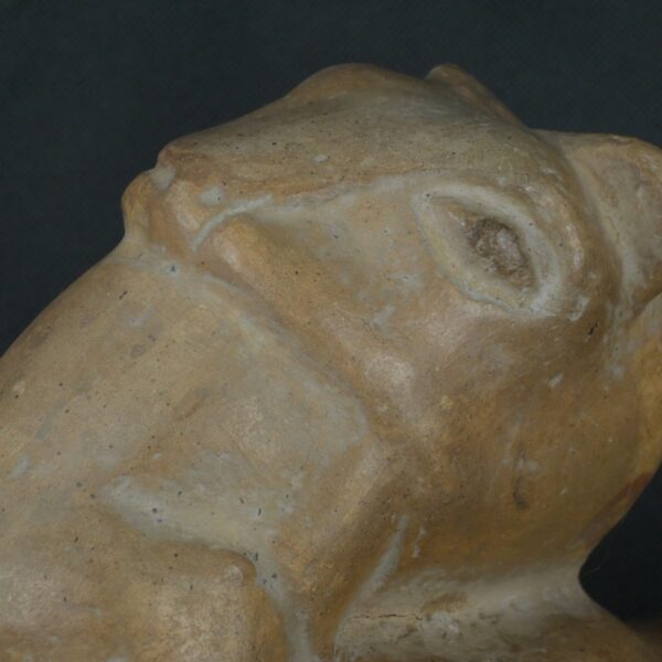 Pre Columbian Ceramic Vessel Ancient Andean Artifact Collector Piece - Imagen 12