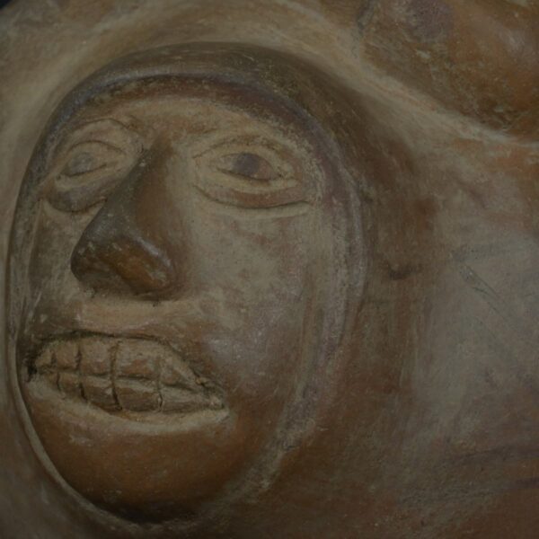 Pre Columbian Moche Ceramic Bottle Ritual Artifact Peru Collectible - Imagen 12